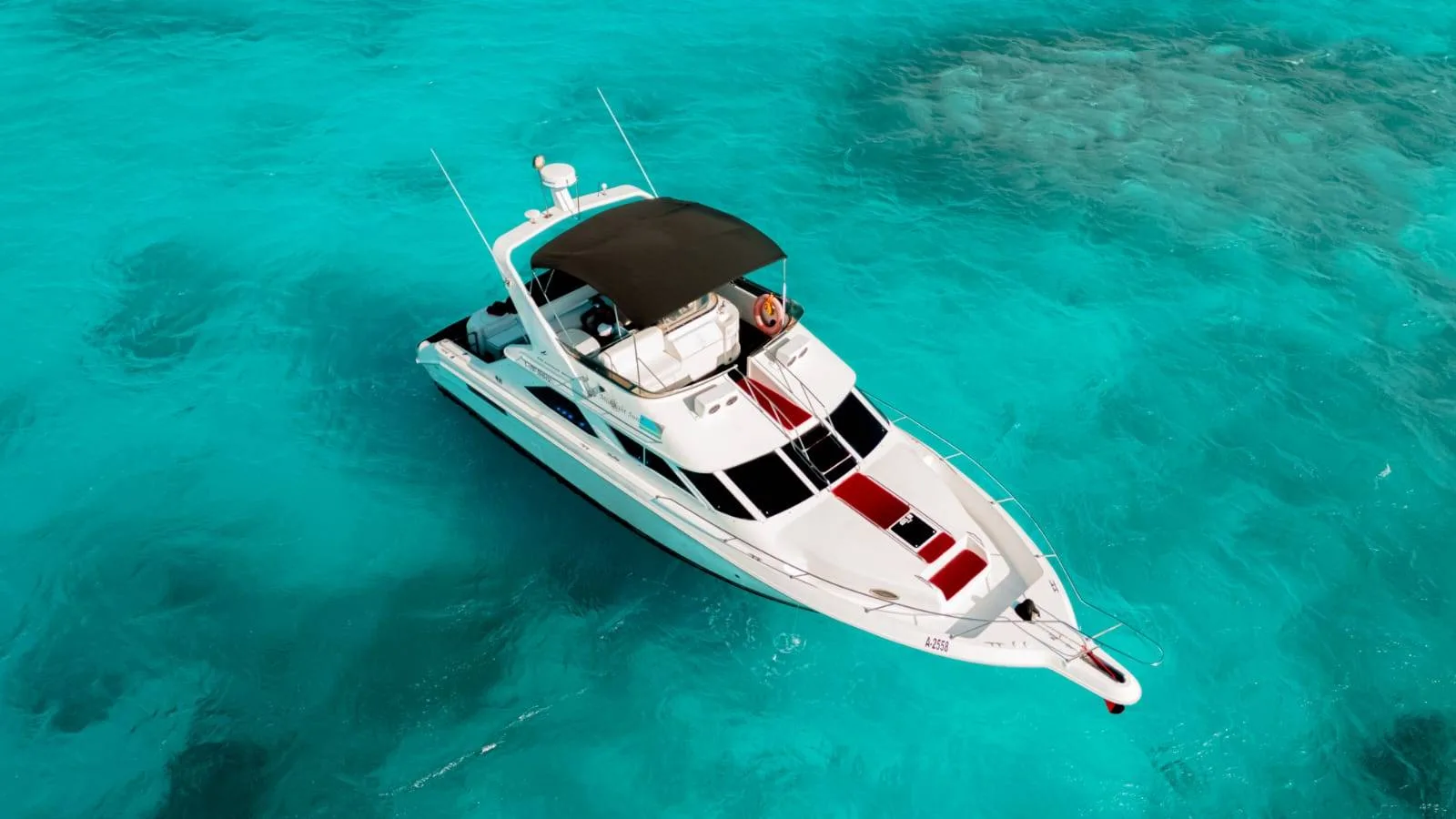 The Midnight Sun Yacht Special in Aruba | Cruise & Celebrate