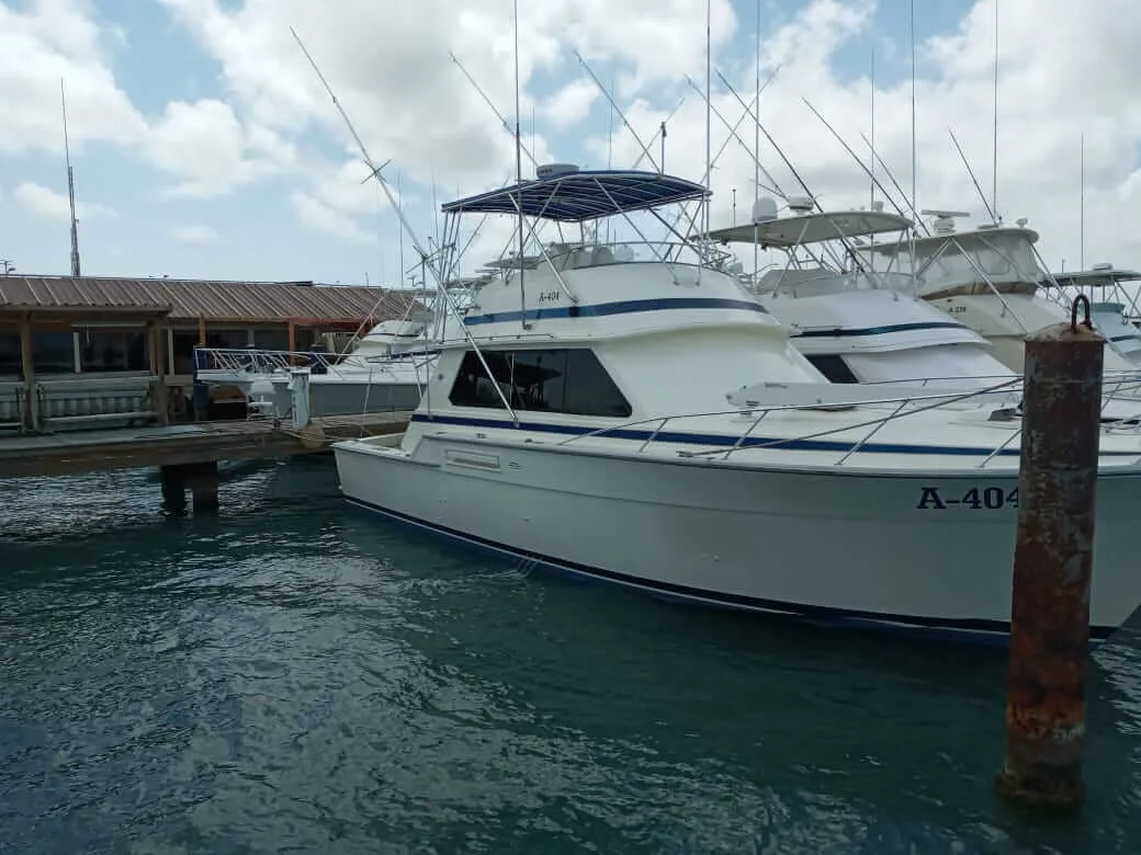 Taifun Deep Sea Fishing Charter
